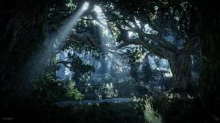 The Witcher 3 Wild Hunt  In the Heart of the Woods Theme Unofficial OST [upl. by Carilla]