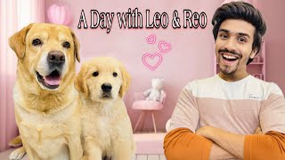 A Day With Leo amp Reo  Leo Ke Baby Ki First Bath  Anant Rastogi [upl. by Ashia]