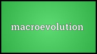 Macroevolution Meaning [upl. by Newg]