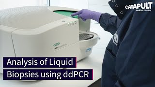 Analysis of Liquid Biopsies using ddPCR [upl. by Felty314]