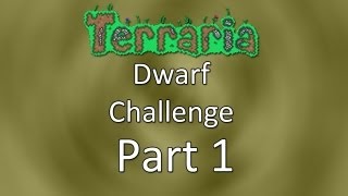 Terraria Dwarf Challenge — Part 1 — Dwarf Fortress [upl. by Dygall]