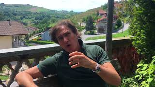 What is the Dolcetto grape amp Dolcetto wine all about Guide to Dolcetto [upl. by Freud]