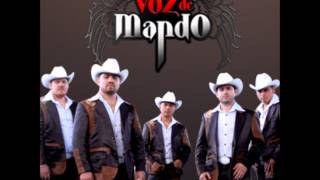 Grupo Voz De Mando  Corridos Alterados MixHD [upl. by Aicylla]