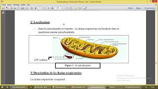 Chaine respiratoire mitochondriale [upl. by Coriss]