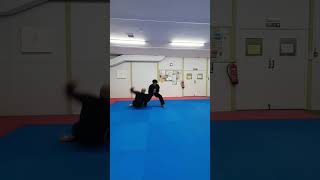 Empi Kata  Opening Sequence Bunkai karate bunkai martialarts [upl. by Ati]