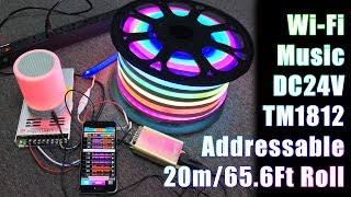 DC24V 656Ft20m Addressable RGB LED Neon Flex Lights Work with VSS WiFi Music Controller [upl. by Nodarse]