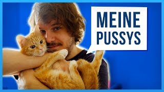 Geschichten meiner Katzen die euch schnurren lassen [upl. by Anay437]