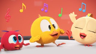 Chickys music group  Wheres Chicky  Cartoon Collection in English for Kids  New episodes [upl. by Citron]