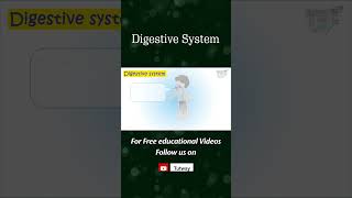 Human Digestive System  Alimentary canal  Gastrointestinal tract  Digestion  Nutrients  Science [upl. by Arodaeht238]