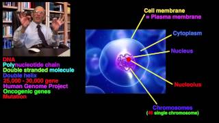 Xeroderma pigmentosum amp Skin Colour Ep15 [upl. by Annekim]