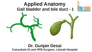 Mastering Gallbladder and Bile Ducts anatomy part 1 [upl. by Annekam]