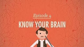 Meet Your Master  Getting to Know Your Brain Crash Course Psychology 4 [upl. by Alaehcim]