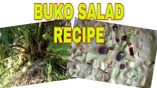 Buko Salad recipeBuko na fresh from the farmvlog52 [upl. by Anyale]