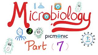 Microbiology Gram   Hemophilus Bordetella Pasturella Brucella Francisella Picmonic Part 7 [upl. by Kuhlman778]