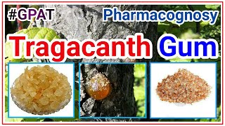 Tragacanth pharmacognosy lecture  carbohydrate containing drug  TRAGACANTH GUM  gum tragacanth [upl. by Demah]