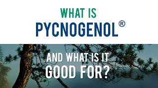 Pycnogenol® General Animated Infographic [upl. by Linetta]