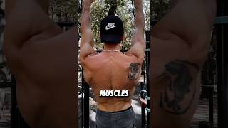 Master Pull Ups tutorial calisthenics pullups [upl. by Newcomer]