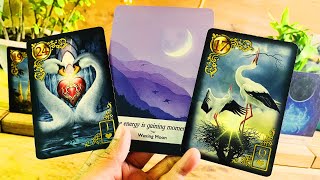 Leo 🍀CONGRATULATIONS LEOS…I SEE A LOT OF MONEY COMING  ♌️Money Tarot [upl. by Uyerta]