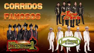 Los Tucanes De Tijuana Los Tigres Del Norte Grupo Exterminador  Puros Corridos [upl. by Ebbie133]