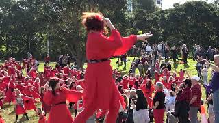 The Most Wuthering Heights Day Ever Sydney July 30th 2022 [upl. by Fowler906]