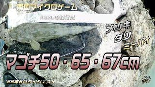 【沖縄ルアー釣り】Vlog06 ’23年6月ダイジェスト【メッキ・コチ・ミナミマゴチ・ダツ・ミーバイ】＃沖縄釣り＃ルアー＃ライトタックル [upl. by Annahc]