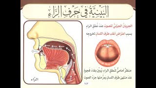 تطبيقات وتنبيهات مهمة في صفة التكرير في حرف الراء للشيخ عبد القادر العثمان [upl. by Godfrey550]