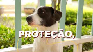 Quarteto Dermato Organnact cuidados dermatológicos para pets de todos os tamanhos [upl. by Tiga]