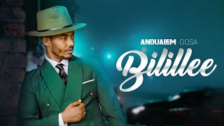 Bilillee  Andualem Gosa  New Oromo Music Video 2024 [upl. by Nimzay]