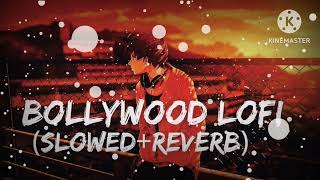 New BOLLYWOOD SONG LOFI MUSIC SLOWEDREVERB  NEW Song 2024 [upl. by Yessej]