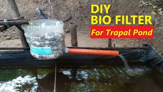 DIY Bio Filter For Trapal Pond  Backyard Tilapia Farming [upl. by Grogan]