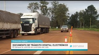 Documento de tránsito vegetal electrónico El Senasa lo solicita en los controles de ruta [upl. by Llenrag]