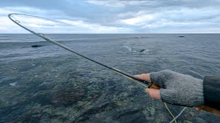 The Perfect Fishing Day to End the Year  Fly Fishing for Sea Trout [upl. by Eldreeda]