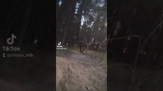 Dasillio night jumps mtb tiktok downhill canyon mountainbike viralvideo mtblife jump [upl. by Silvia]