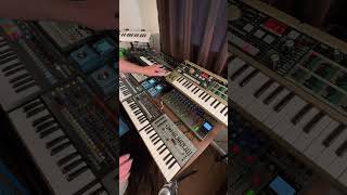 synthwave Roland JDXi  Korg Microkorg  Ambient Electronica [upl. by Adnawaj63]