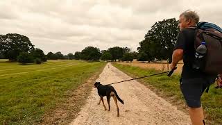 Komoot  Telly Tubby Land – Chinese Bridge loop from Calthorpe  544m  Sat 31 Aug 2 komoot [upl. by Enautna]