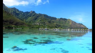 Moorea Island French Polynesia [upl. by Acnoib]