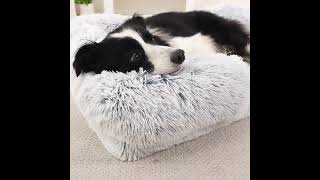 Pet product supplier plush orthopedic dog sofa bed [upl. by Attikram]