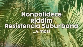 NONPALIDECE RIDDIM RESISTENCIA SUBURBANA y más  LO MEJOR DEL REGGAE [upl. by Arimlede]