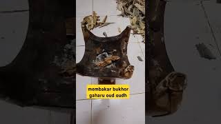 Membakar bukhor gaharu Oud Oudh bukhor gaharu oud oudh agarwood setanggi wangian [upl. by Nojad322]