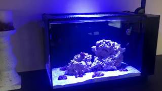 Fully Modded Fluval EVO 135 4K 60FPS [upl. by Dickey]