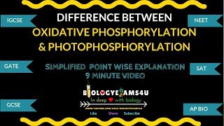 Difference between Oxidative phosphorylation and Photophosphorylation [upl. by Prevot]