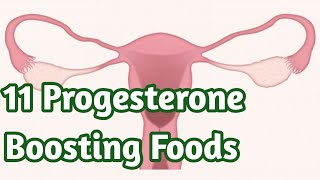 11 Progesterone Boosting Foods that can increase the Hormone Naturally  Sky world  Health Tips [upl. by Yremrej497]