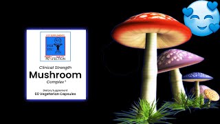 The Clinical Strength Mushroom Complex Guide  Benefits Of Mushroom Complex  KQP Supplements [upl. by Mima470]