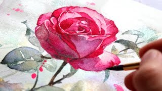 WATERCOLOR TUTORIAL FOR BEGINNERS How To Paint A Rose In 5 Steps [upl. by Karlotte68]