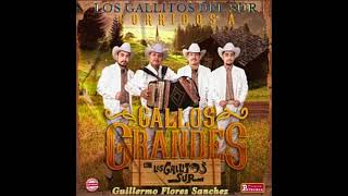 Guillermo Flores Sanchez Los Gallitos Del Sur [upl. by Hyacinthia274]