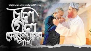 আল্লামা সাইদিকে নিয়ে লেখা সেরা প্রতিবাদি গান  Allama Saidi Best Song allama delwar hussain saidi [upl. by Amary]