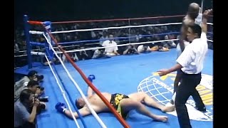 Ernesto Hoost  Top Knockouts HD [upl. by Laflam]