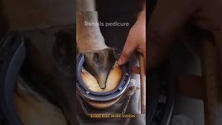 Horse pedicure pedicure horse [upl. by Pratte]