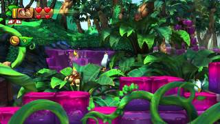 Donkey Kong Country Tropical Freeze  Jelly Jamboree 55 100 Walk Through [upl. by Adila]