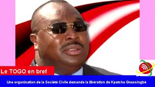 Une Organisation de la société civile togolaise demande la libération de Kpatcha Gnassingbé [upl. by Bahr]